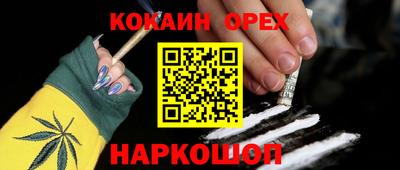 гидра Можга