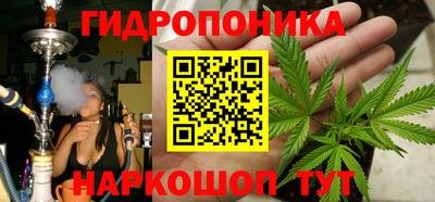 гидра Можга