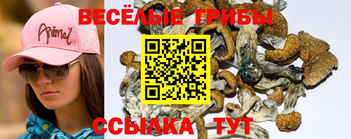 Галлюциногенные грибы ЛСД Симферополь